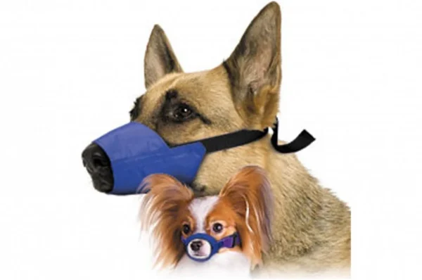 K9 Trailer Rentals Two dogs, one large and one small, are shown against a white background wearing Quick Muzzle for Dogs in blue fabric with black straps.